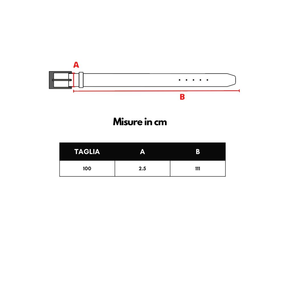 Dolce & Gabbana Brown Calfskin Regular Belt