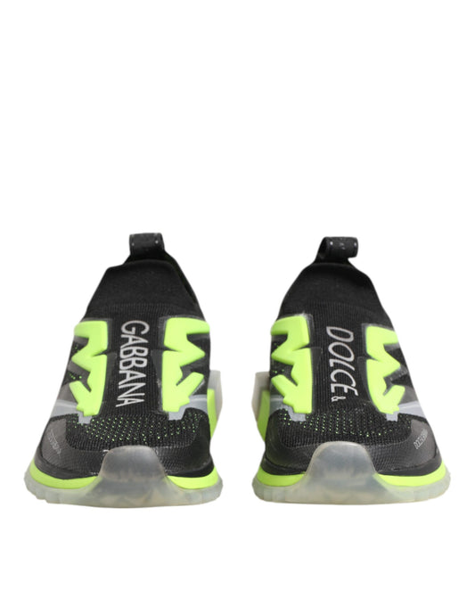 Dolce & Gabbana Multicolor Sorrento Low Top Sneakers Shoes