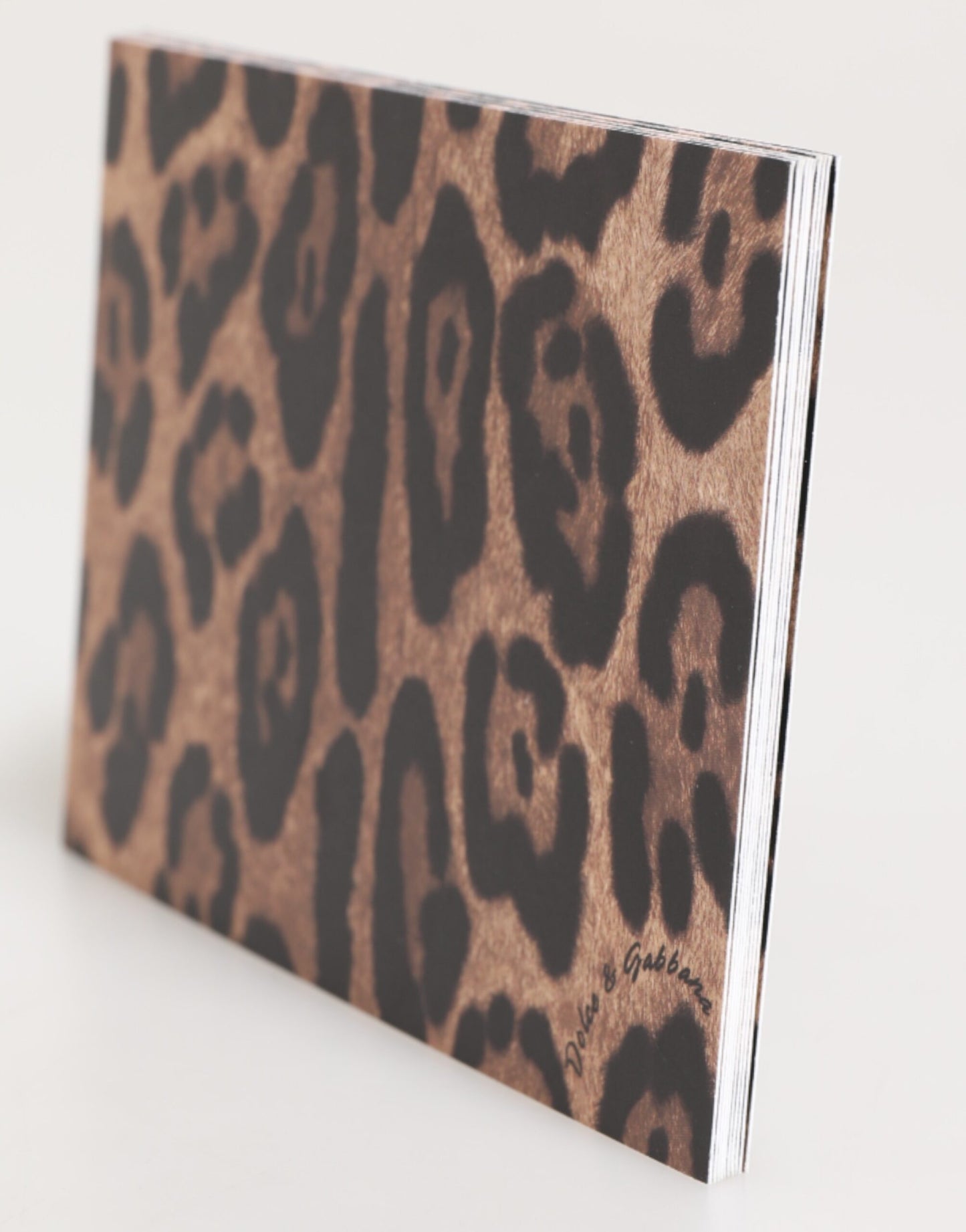 Dolce & Gabbana Multicolor Leopard Print Envelope Paper Post Card Holder