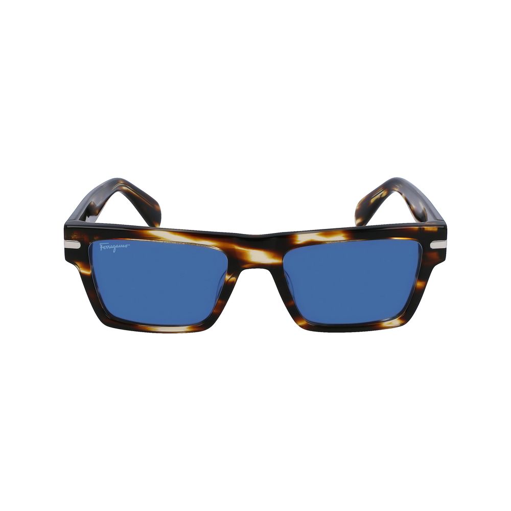 Ferragamo Brown Acetate Sunglasses