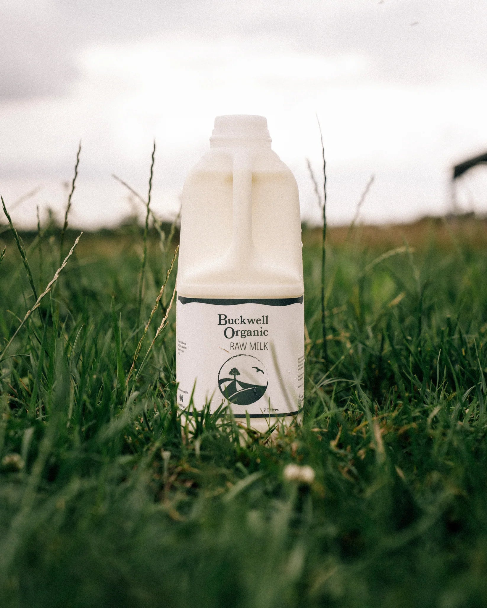 Organic Raw MilK 32 L