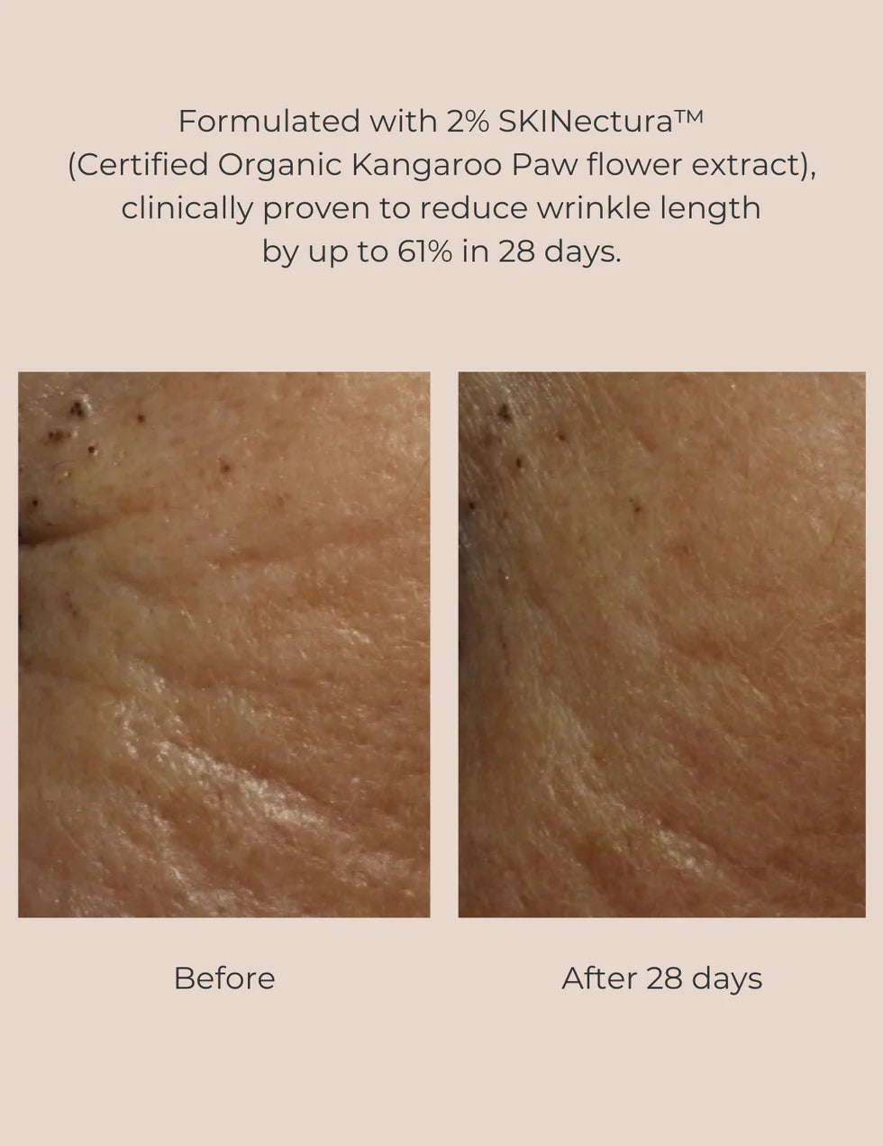 INIKA Organic Pure Perfection Primer