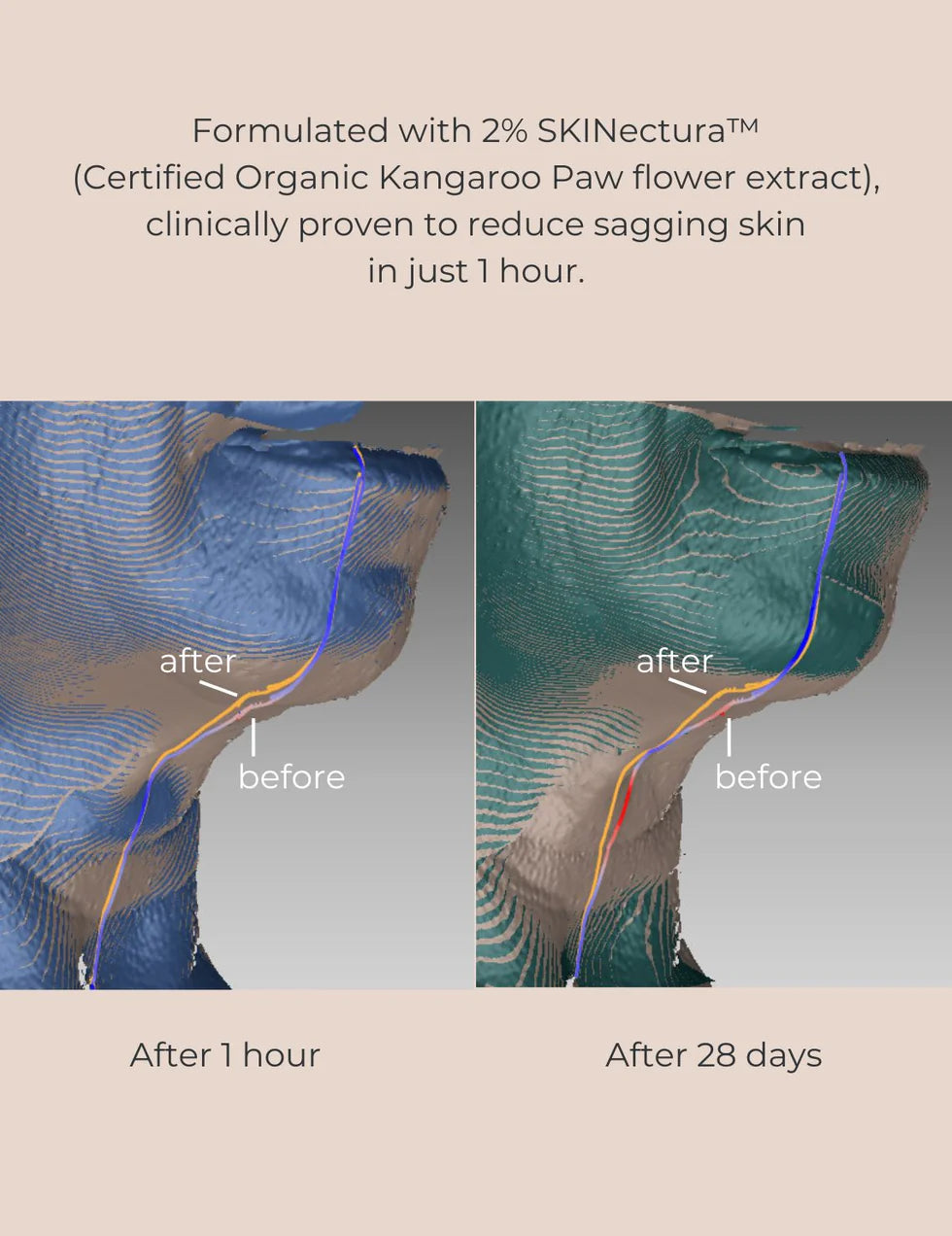 Long-Last Foundation Bundle (Colour):    Inspiration