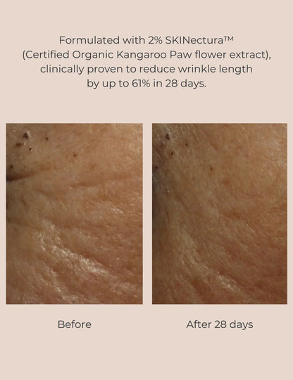 Long-Last Foundation Bundle (Colour):  Strength